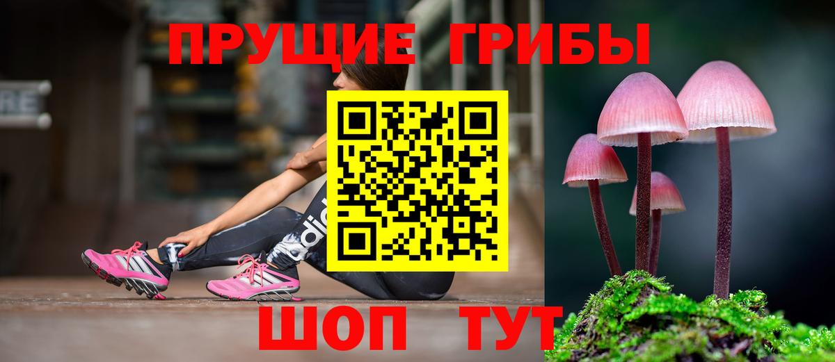 Галлюциногенные грибы Psilocybine cubensis  Вход с VPN  хочу   Краснознаменск 